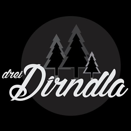 Апартаменты Drei Dirndla Шладминг Экстерьер фото